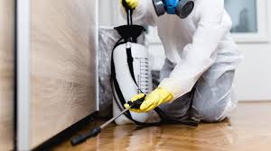 Best Termite Inspection and Treatment  in Glendora, CA